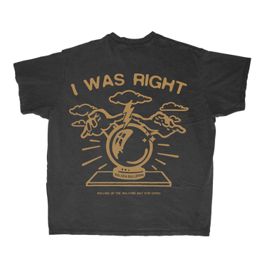HINDSIGHT SAYS… I WAS RIGHT T-SHIRT
